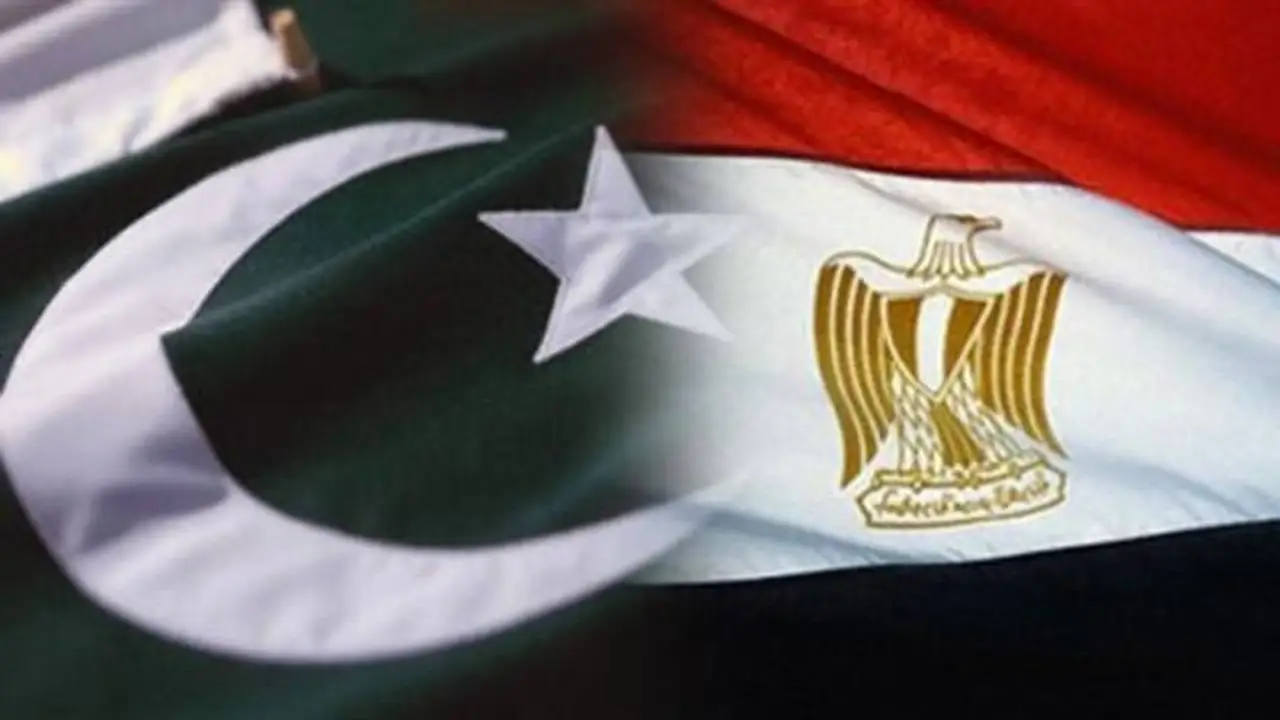 مصر وباكستان تشددان على أهمية الحلول الدبلوماسية لوقف التصعيد العسكري